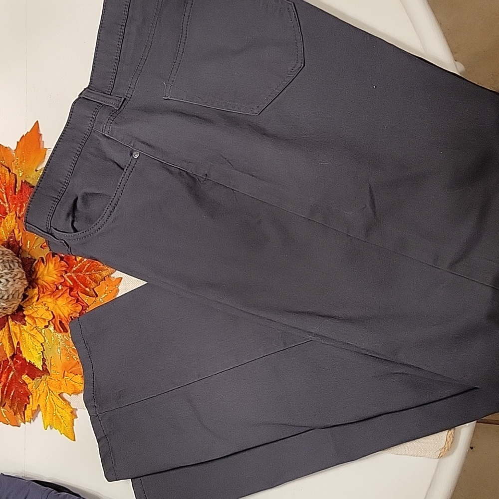 Nwot gray pants